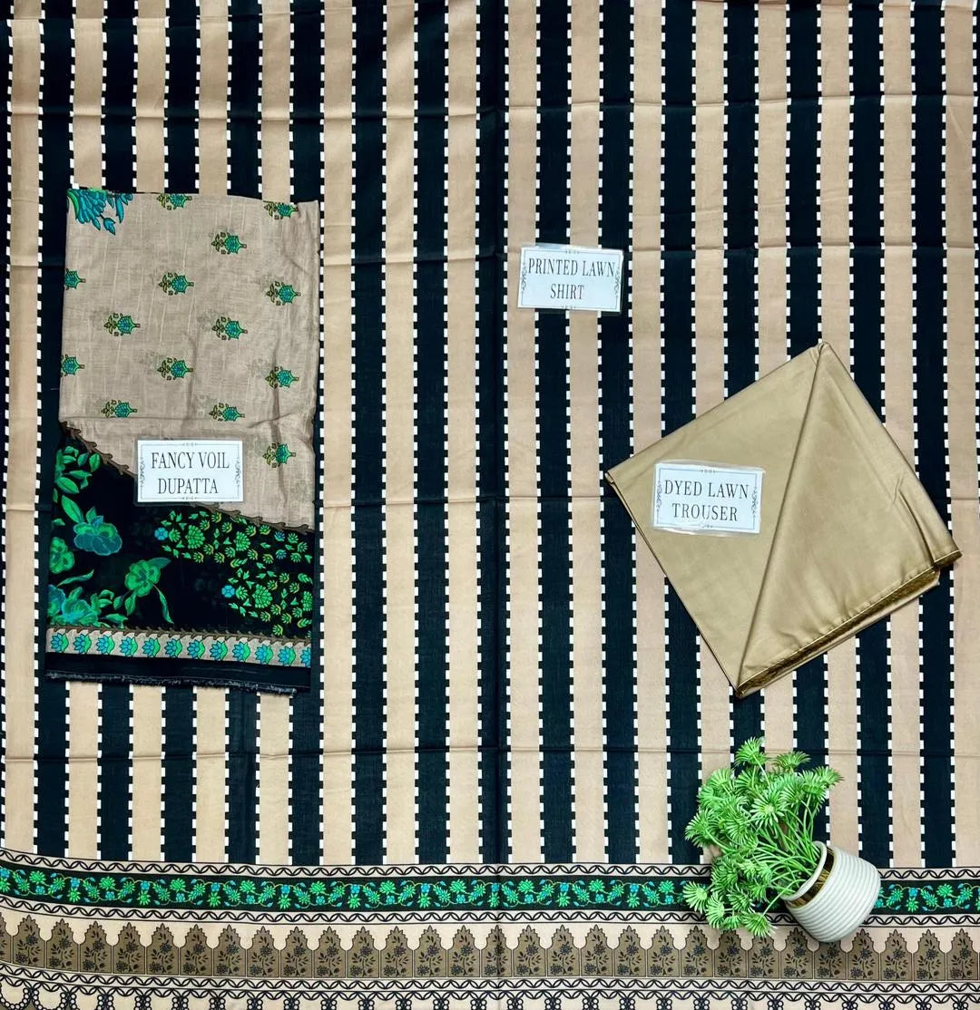 Pakistani Embroidered Kurti with Green & Beige Stripes